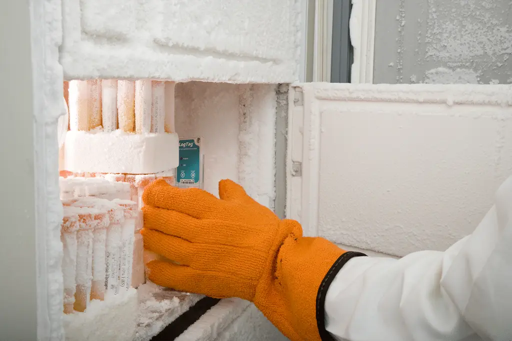 Frozen-fridge-TRIL_OK_Web (1).webp